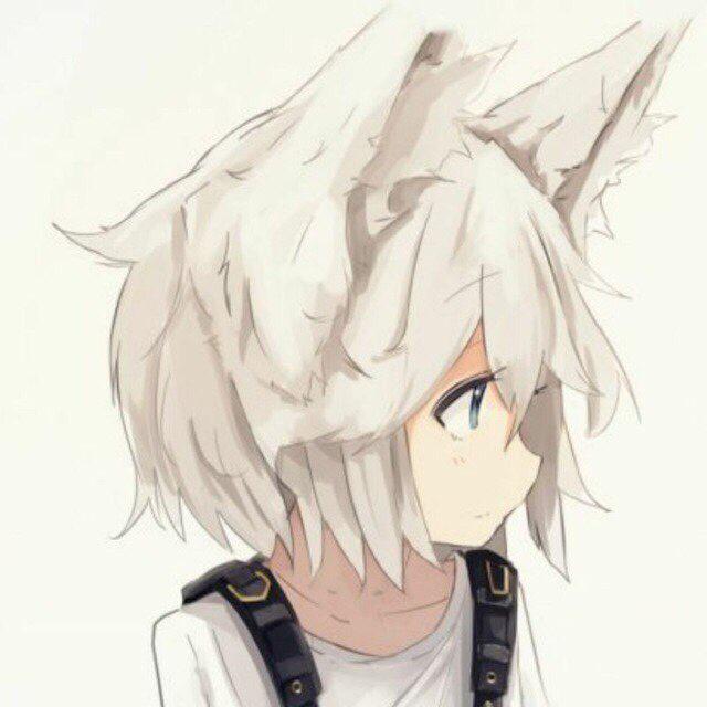 haowu.moe